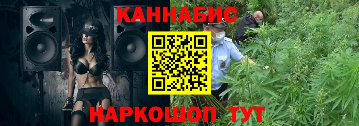 Шишки марихуана Bruce Banner Трёхгорный